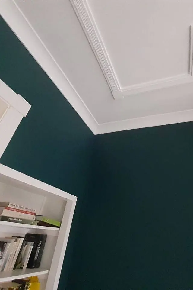 Professionally painted dark emerald green accent wall for a luxurious look in The Hague and Rotterdam