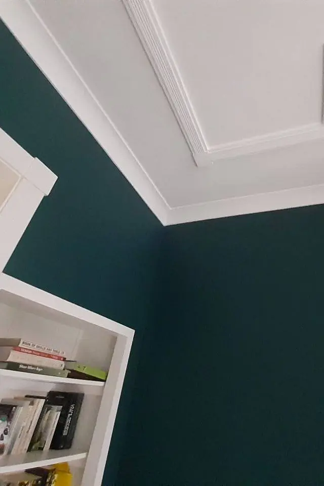 Professioneel geschilderde donker smaragdgroen accentmuur voor een luxe uitstraling in Den Haag en Rotterdam