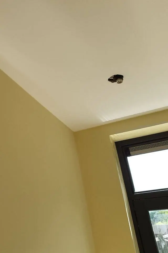 Professionally painted wall with a smooth finish in The Hague and Rotterdam